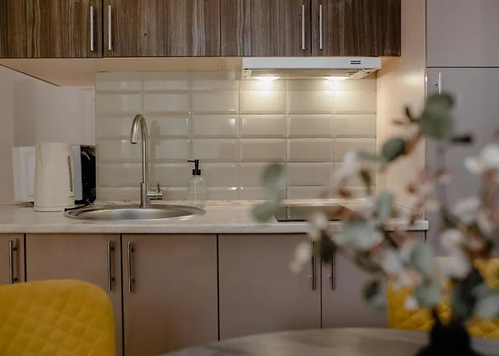 в центрі львова вул івана франка Apartment