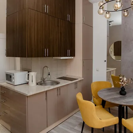 Apartman в центрі львова вул івана франка